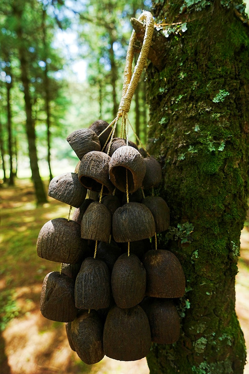 Seed Shaker | Handmade Salin Water Bellwood Seed Shell Hand Bell – Natural Rainforest Decor